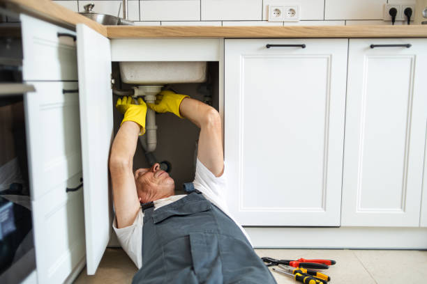 Best Affordable Plumber Near Me  in Pleasant Grove, OH